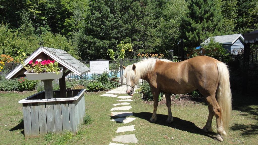 Auberge Le Cheval Bleu Saint-Alphonse-Rodriguez Εξωτερικό φωτογραφία